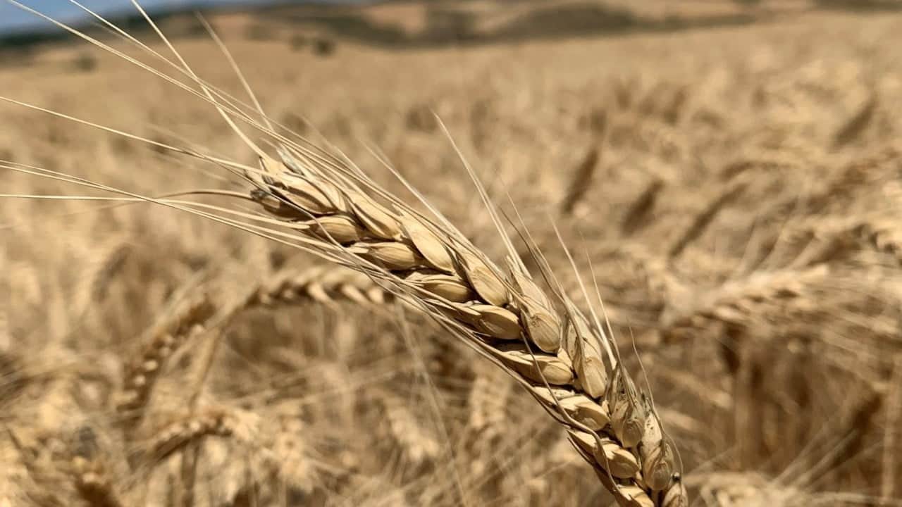 Foto - Hemen hemen her sofrada var! Fiyat 3'e katlanabilir uyarısı