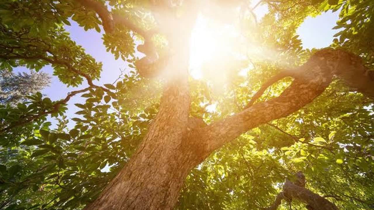 Foto - Her 100 evden sadece 3’ünde var! Dünyanın en sıcak ülkeleri ama evlerde klima yok