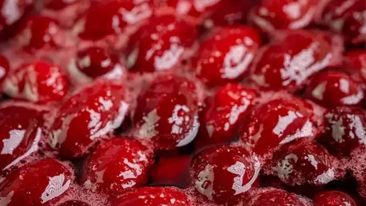 Foto - Her derde deva kızılcık, bağırsakları koruyor! Sonbaharın habercisi... Tansiyonu düşüren 1 şişe suyu: Öyle bir şey ki...