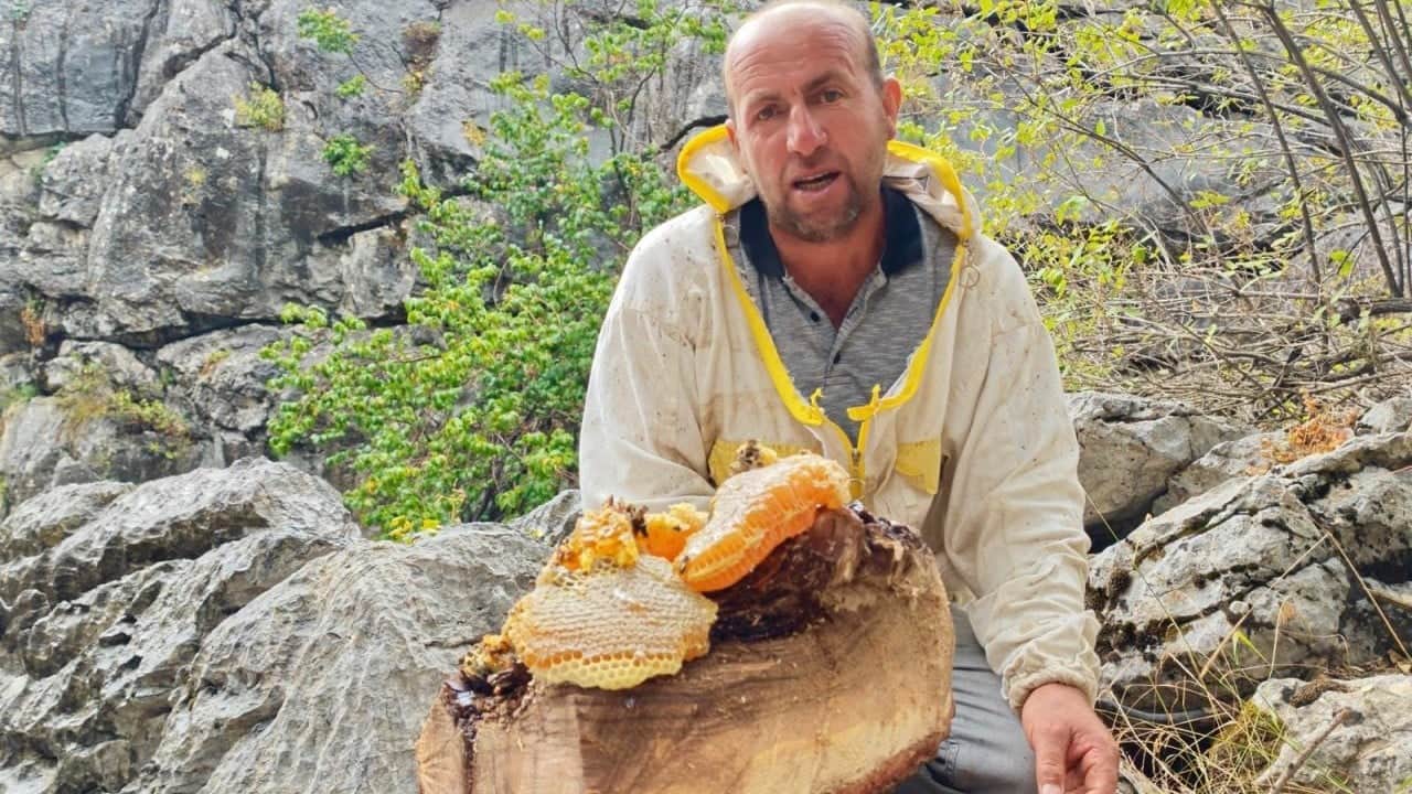 Foto - Her derde deva... Yıllardır Toroslar'da bal avcısı: Firari arıları dedektif gibi takip ediyor! 