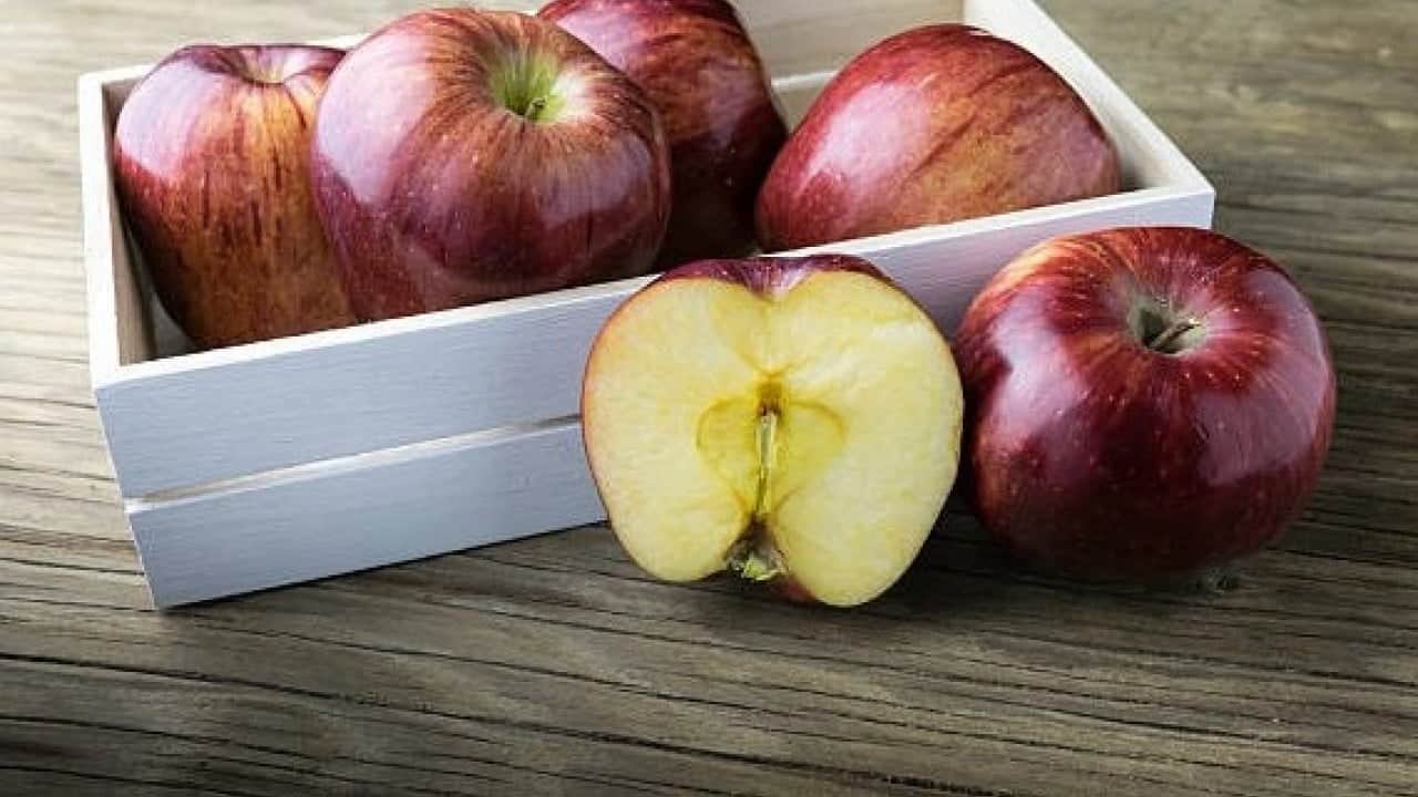 Foto - Her gün bir tane tüketmek yetiyor! Bu meyvenin faydaları şaşırtıyor