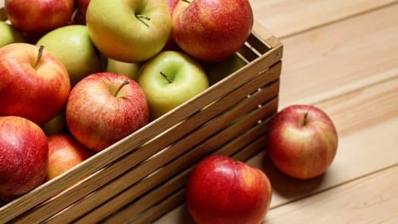 Foto - Her gün bir tane tüketmek yetiyor! Bu meyvenin faydaları şaşırtıyor