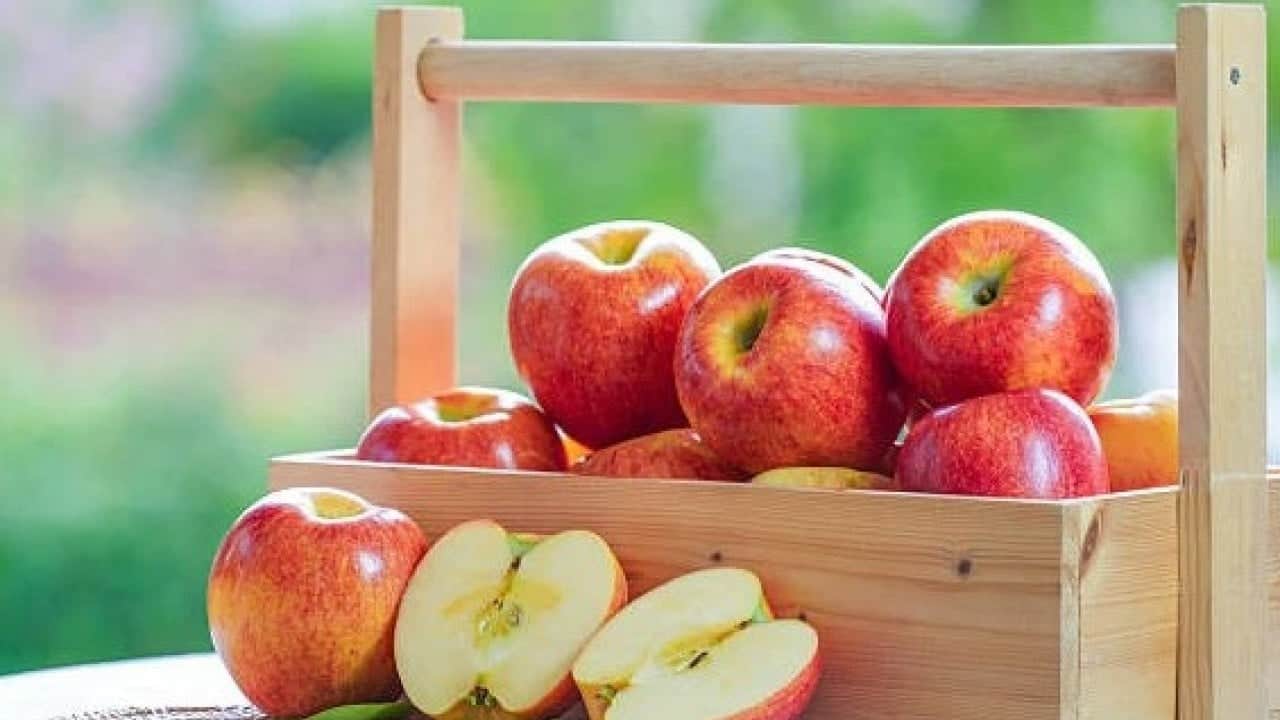 Foto - Her gün bir tane tüketmek yetiyor! Bu meyvenin faydaları şaşırtıyor
