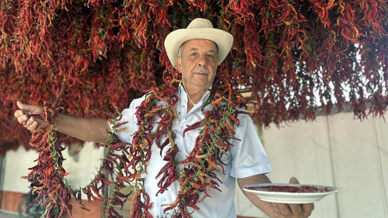 Her şey Edirne tava ciğeri için! Meşhur acı biberin kurutma mesaisi tamamlandı