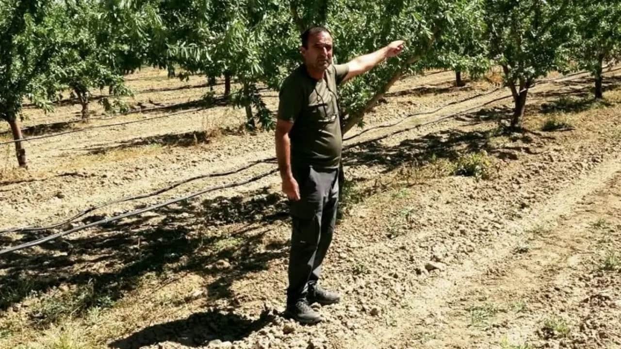 Foto - Hobi olarak başladı! Şimdi rekolte bekliyor