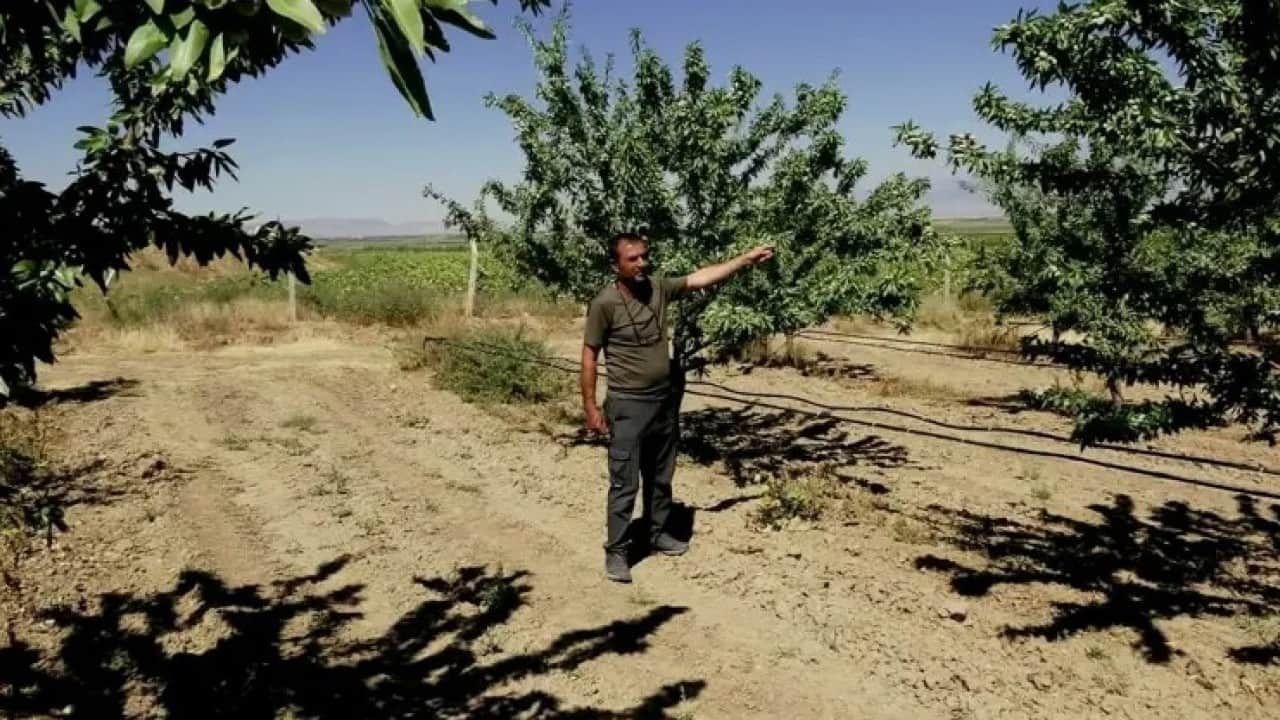 Foto - Hobi olarak başladı! Şimdi rekolte bekliyor