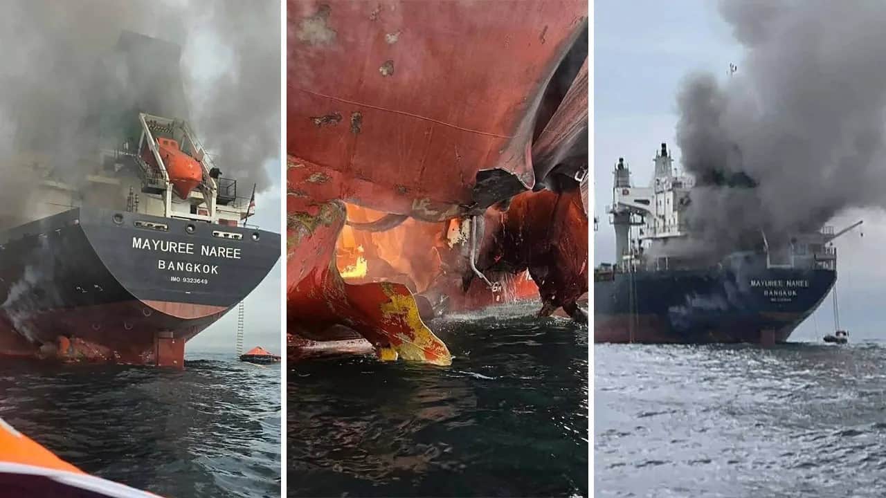 Foto - Hürmüz'ün üstü gibi altı da perişan halde