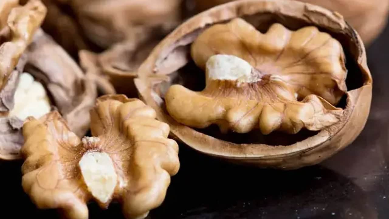 İki kuruyemiş ile hastalıkları kovun: Ceviz mi sağlıklı yoksa fındık mı? Meğer aralarında önemli beş fark varmış!
