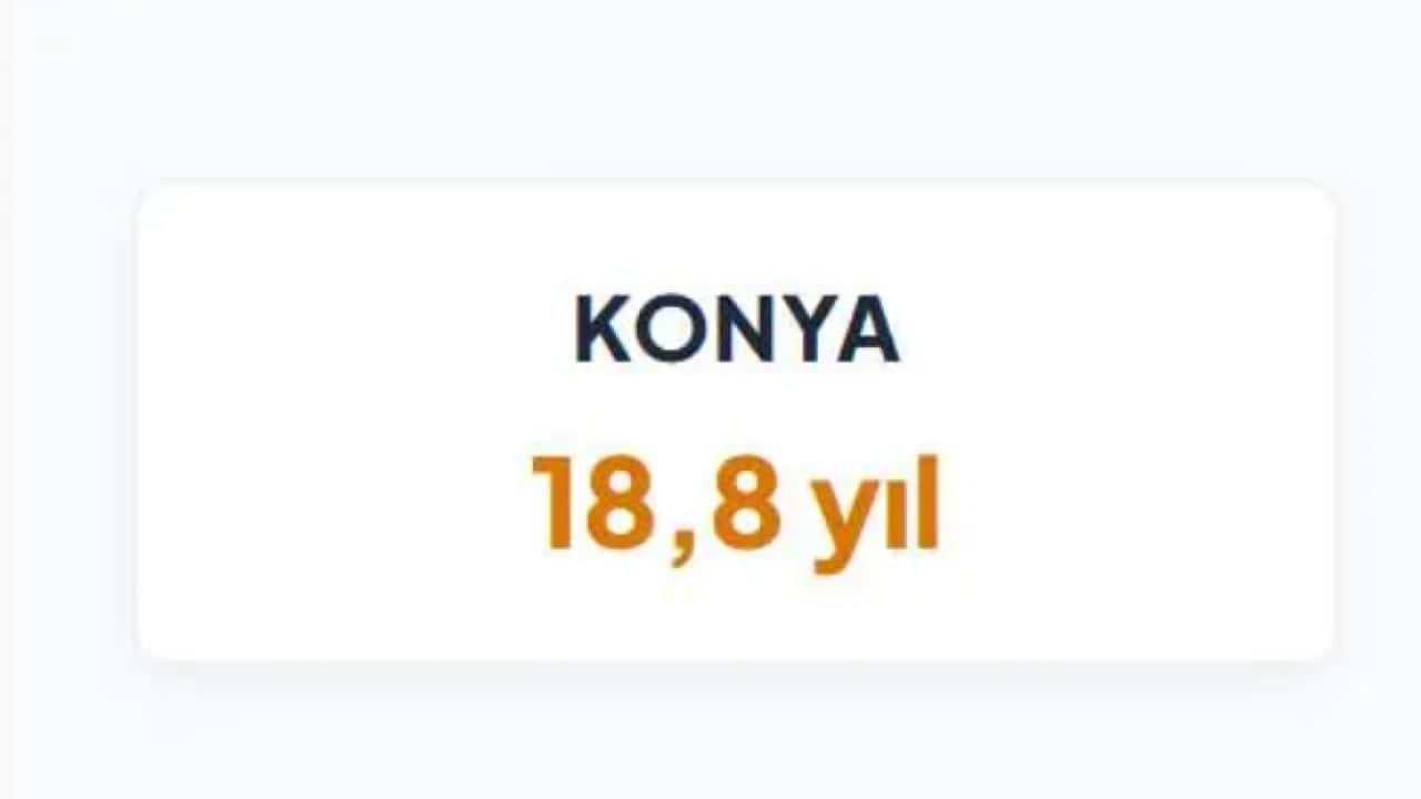 Foto - En yaşlı otomobiller o illerde: İl il otomobil yaşları belli oldu! 