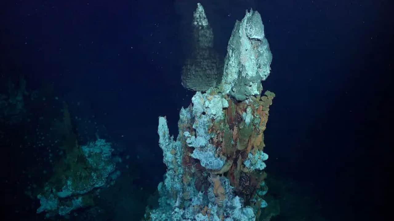 Foto - İlk kez görüntüledi! Atlantik’in karanlık tabanında gizli dünya bulundu
