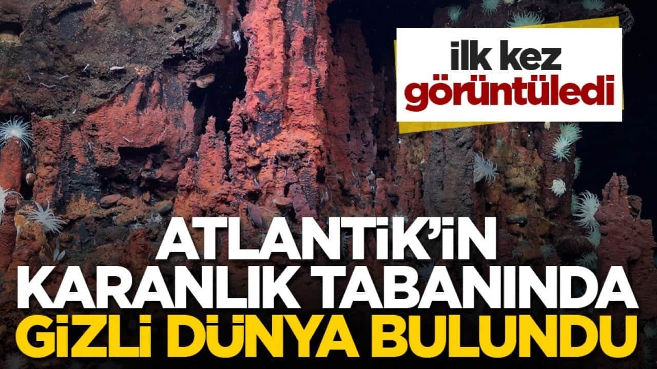 İlk kez görüntüledi! Atlantik’in karanlık tabanında gizli dünya bulundu