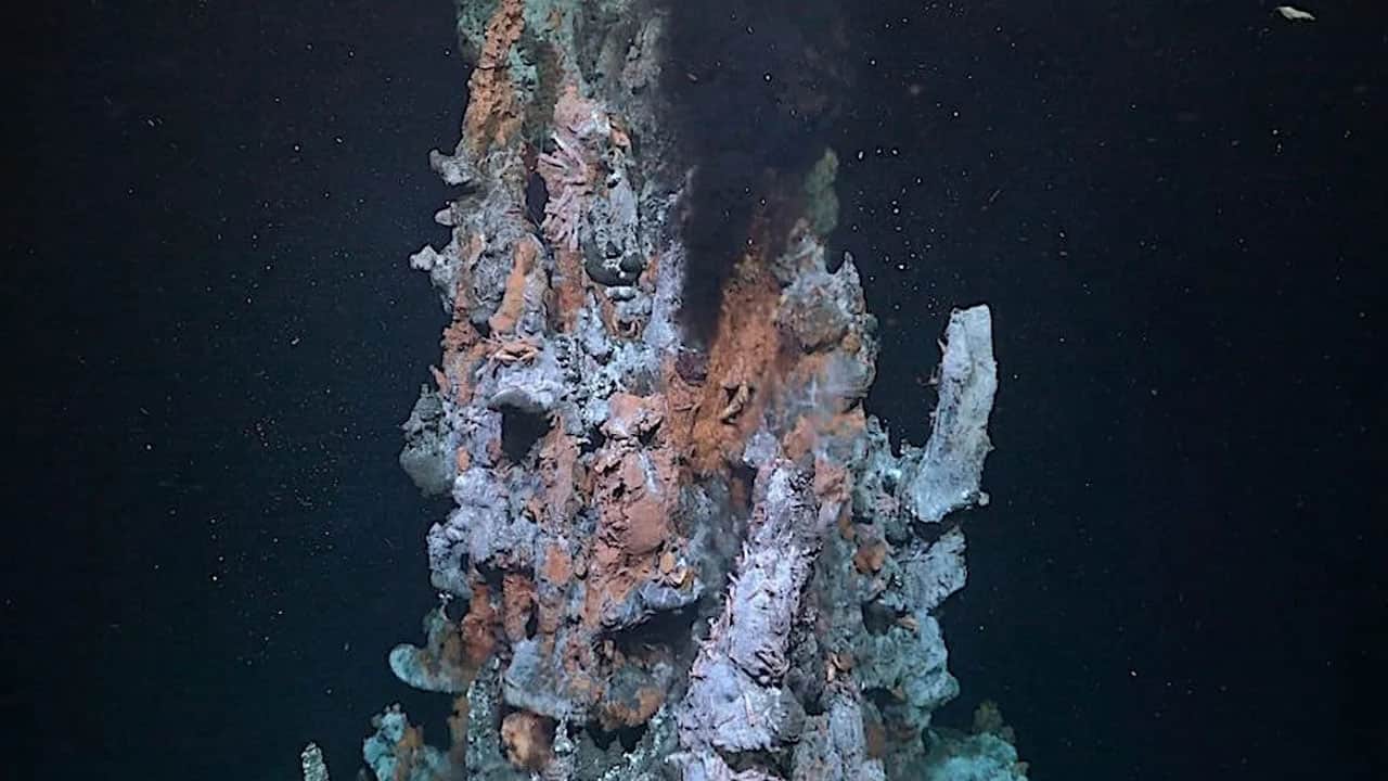 Foto - İlk kez görüntüledi! Atlantik’in karanlık tabanında gizli dünya bulundu