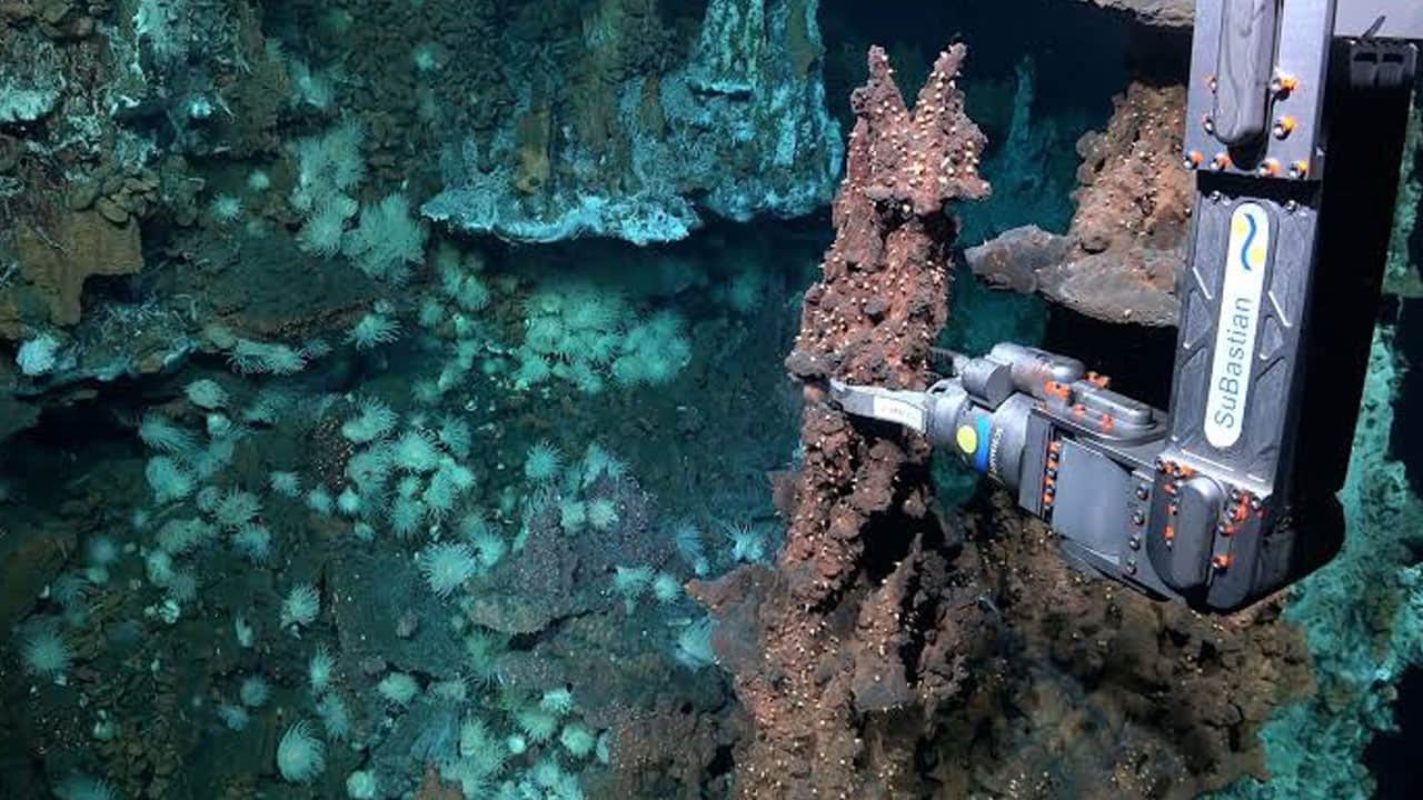 Foto - İlk kez görüntüledi! Atlantik’in karanlık tabanında gizli dünya bulundu
