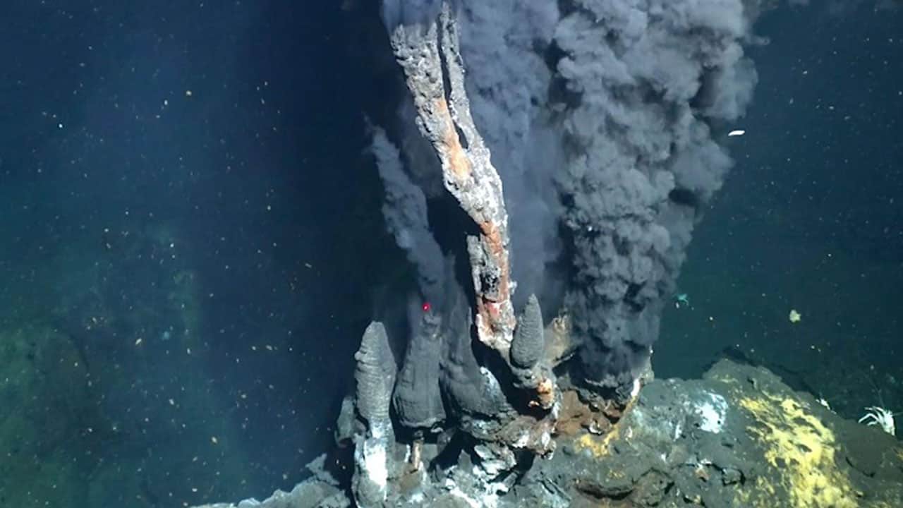 Foto - İlk kez görüntüledi! Atlantik’in karanlık tabanında gizli dünya bulundu