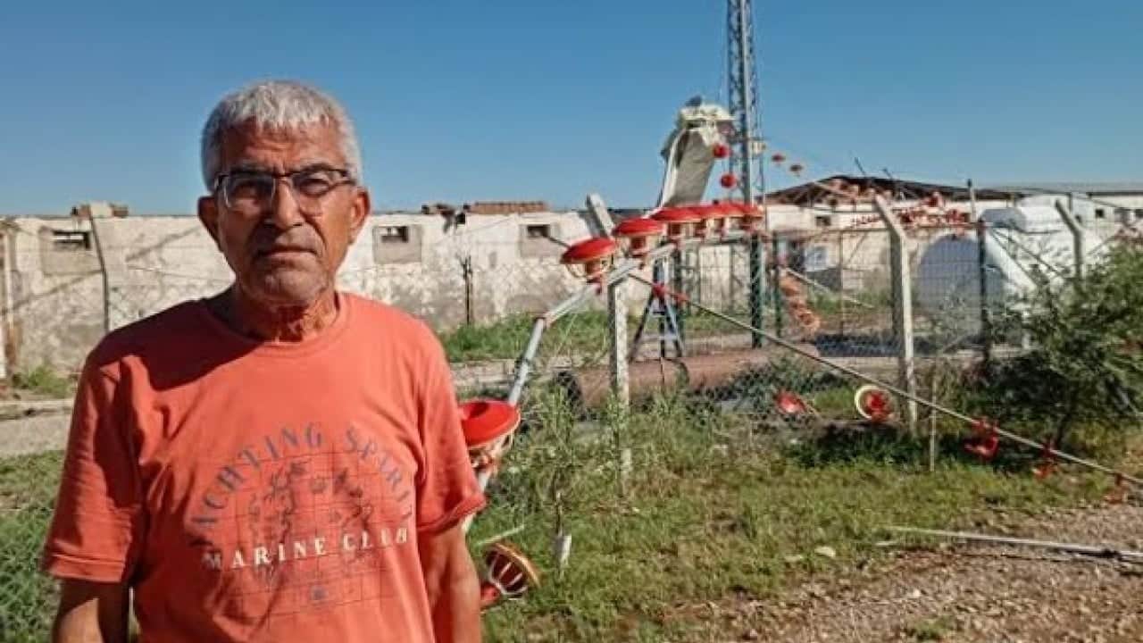 Foto - İmamoğlu’nda kahreden manzara! Dakikalar içinde binlerce civciv telef oldu