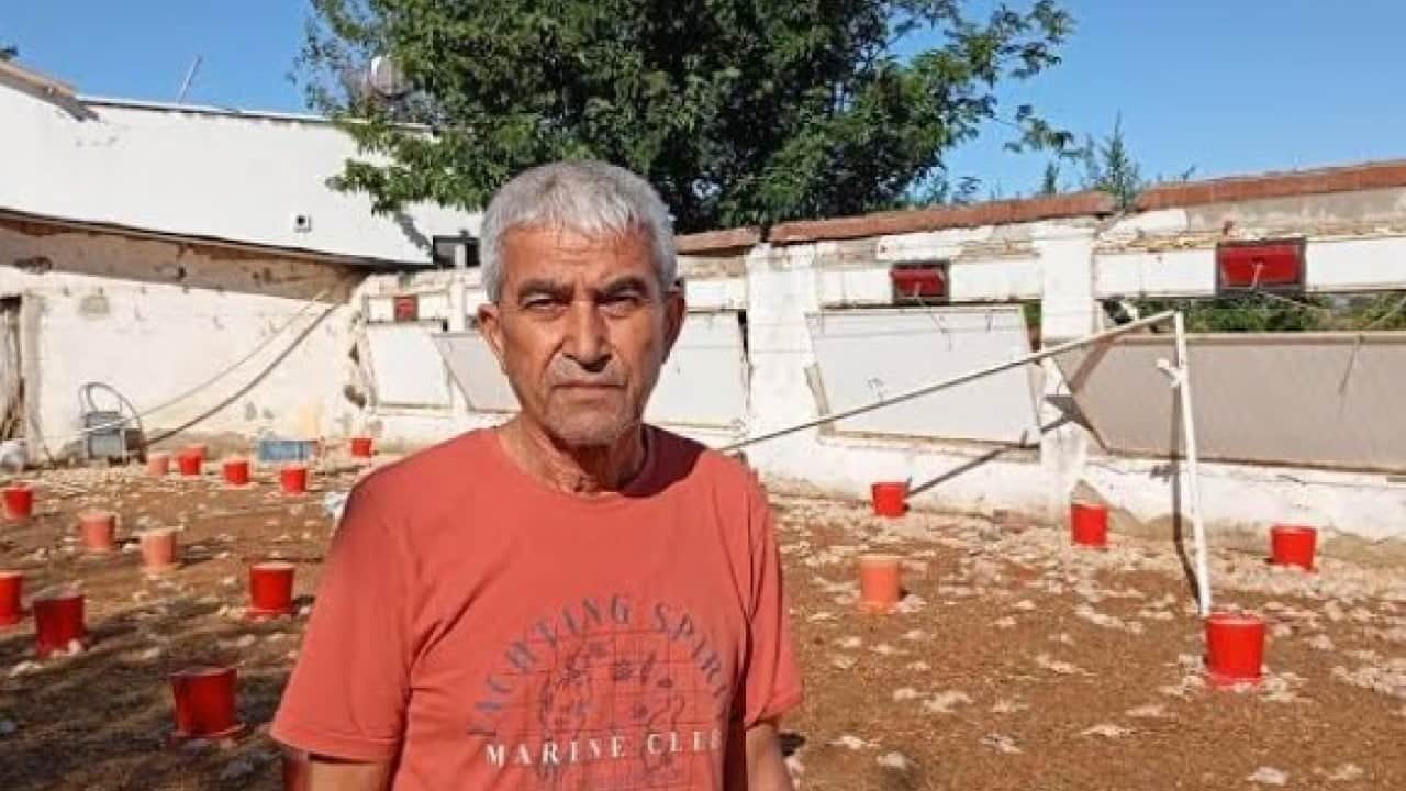 Foto - İmamoğlu’nda kahreden manzara! Dakikalar içinde binlerce civciv telef oldu