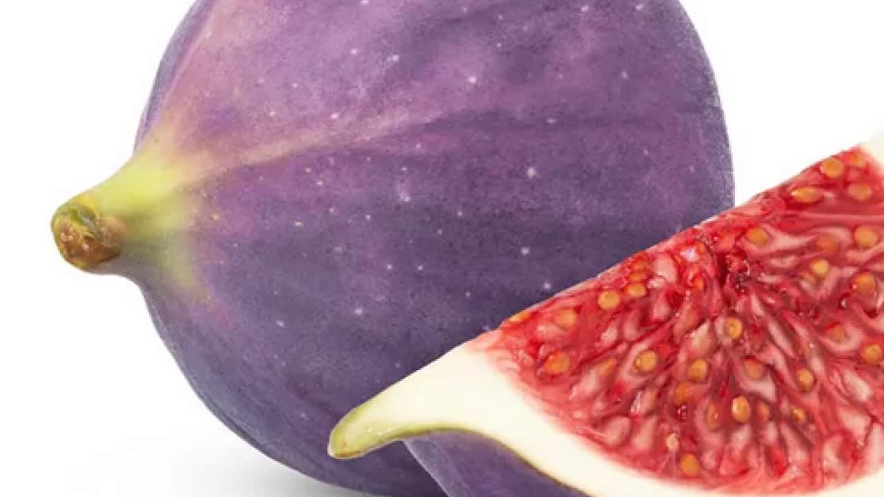 Foto - İncirlerin içinde hakikaten ne var? Yerken yuttuğumuz şey aslında bakın neymiş…