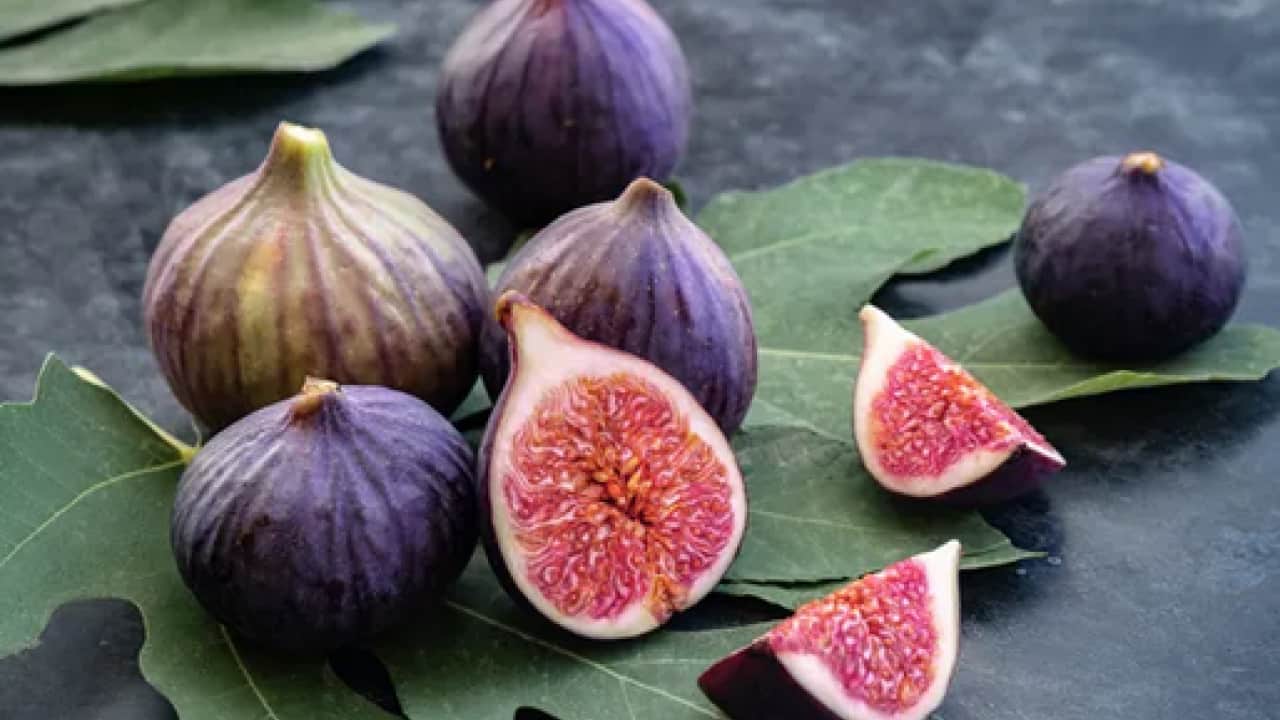 Foto - İncirlerin içinde hakikaten ne var? Yerken yuttuğumuz şey aslında bakın neymiş…