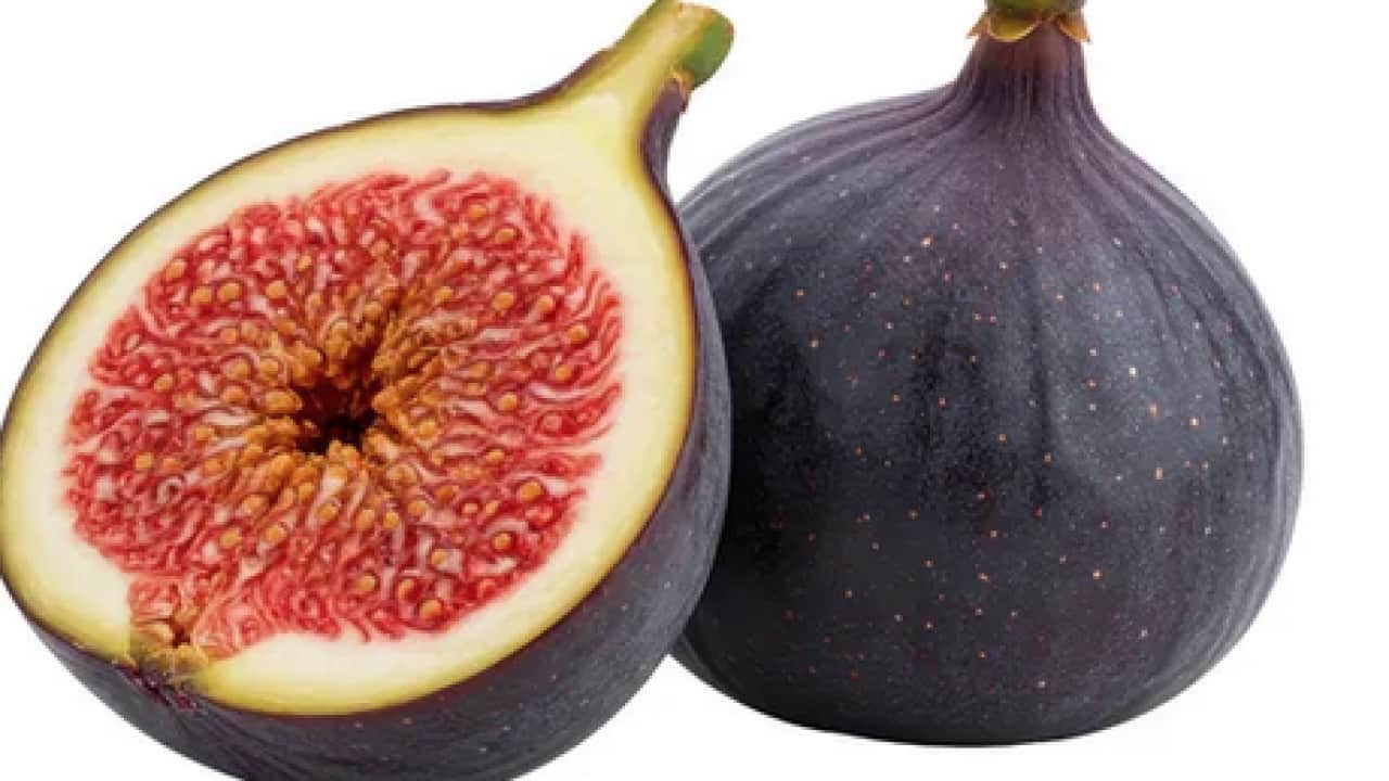 Foto - İncirlerin içinde hakikaten ne var? Yerken yuttuğumuz şey aslında bakın neymiş…