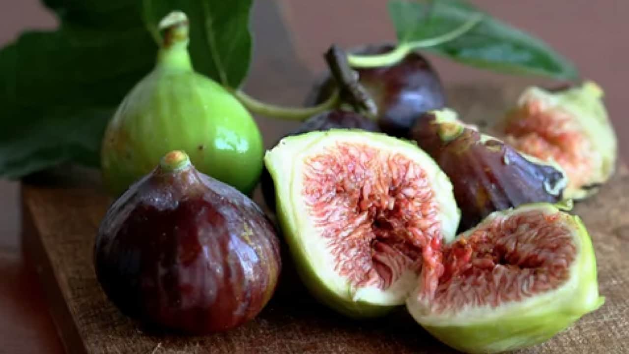 Foto - İncirlerin içinde hakikaten ne var? Yerken yuttuğumuz şey aslında bakın neymiş…