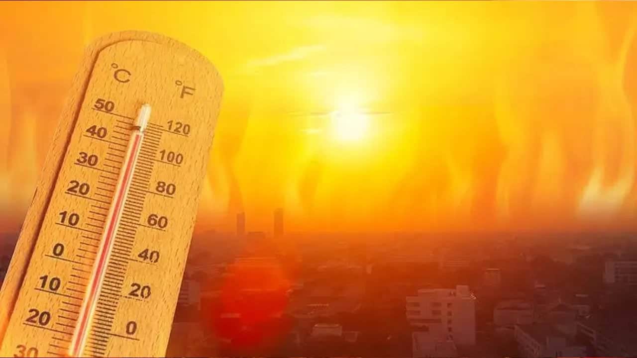 İngiltere'de gıda depolama uyarısı: Bunları stoklayın! Bir ülkenin daha El Nino ile başı belada...