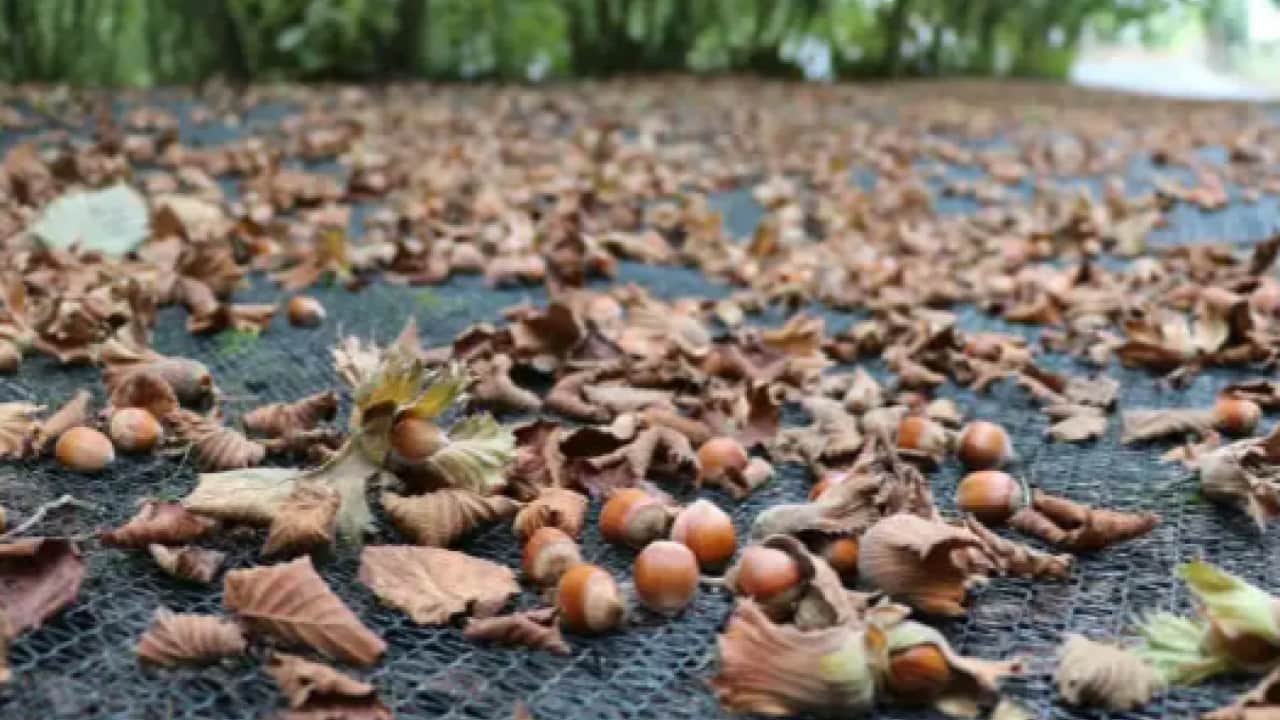 İş süresi 10 günden birkaç güne indi! Bu yöntem maliyeti yüzde 70 düşüyor!