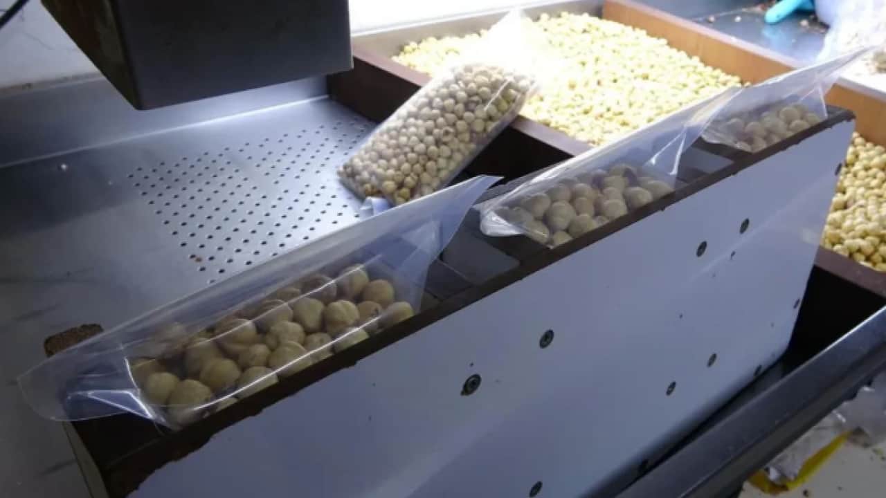 Dünyanın hiçbir yerinde bu aroma yok: Yüzde 200 kar elde ediliyor!