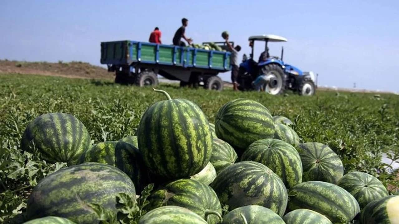 Foto - İşler tersine döndü: Tarım üretici fiyatlarında sevindiren veri