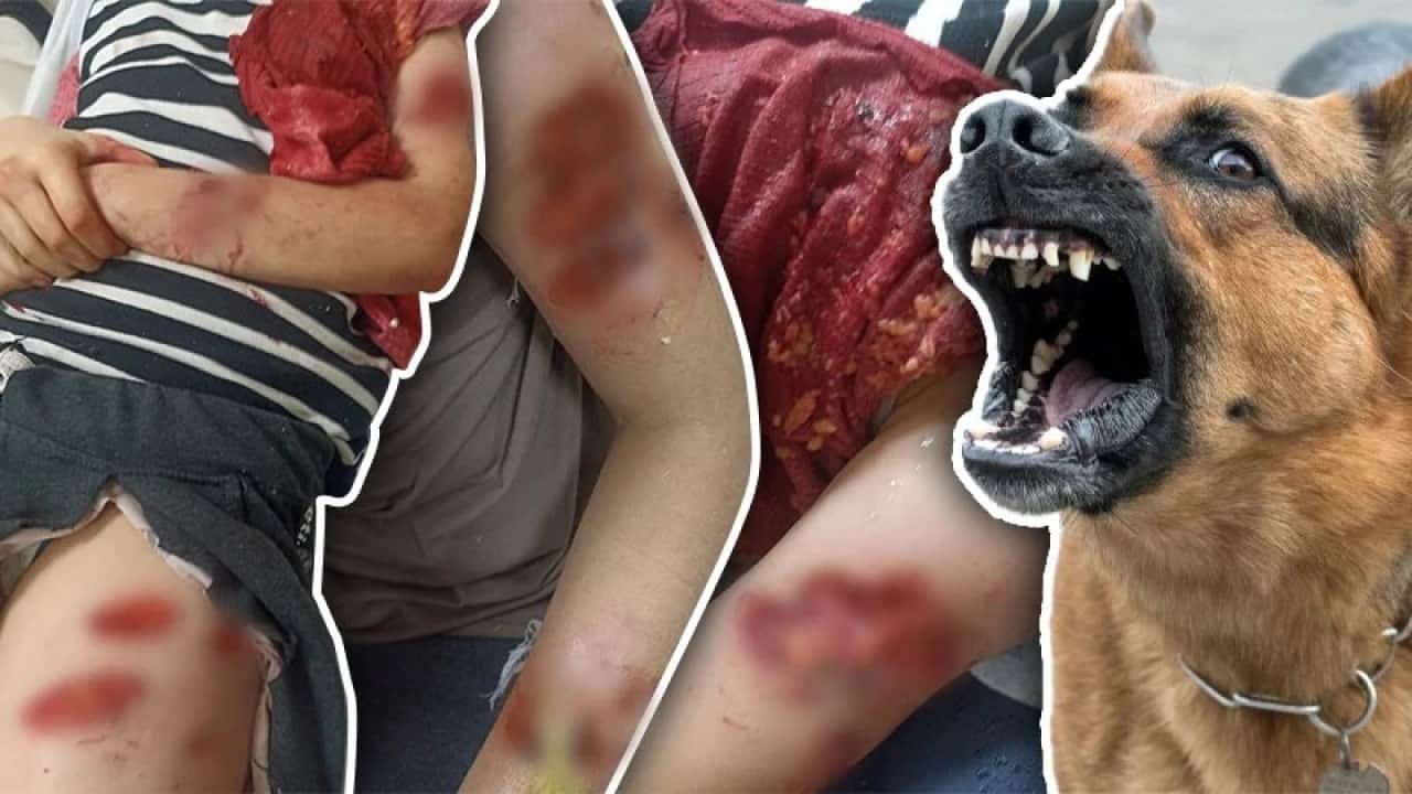 Foto - İsmail Kılıçarslan'dan sitem: Türk'ün çocuğunun canı kıymetli değil de NATO'nun subayının paçası mı kıymetli?
