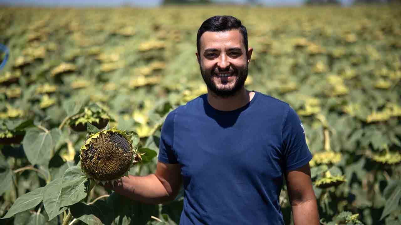 Foto - İstanbul çiftçisinin yüzü güldü: Ayçiçeğinde bereket yılı!