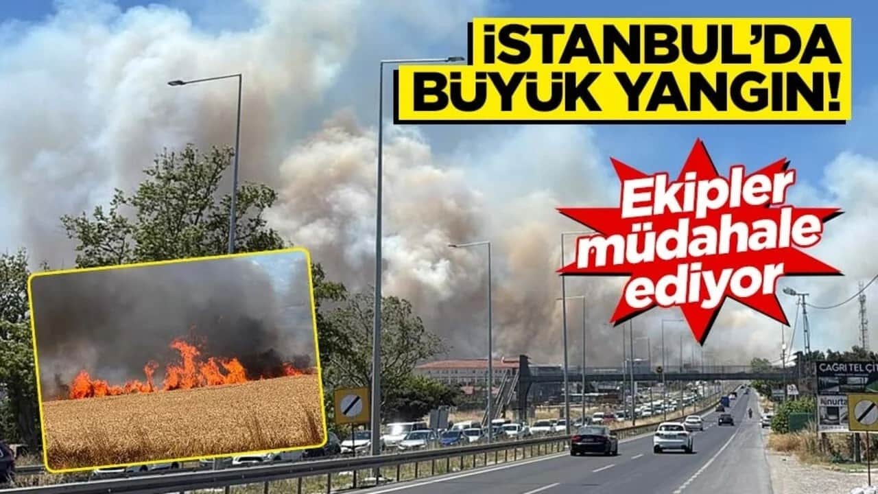 İstanbul'da otluk alanda yangın! Yerleşim yerlerinin dibinde...