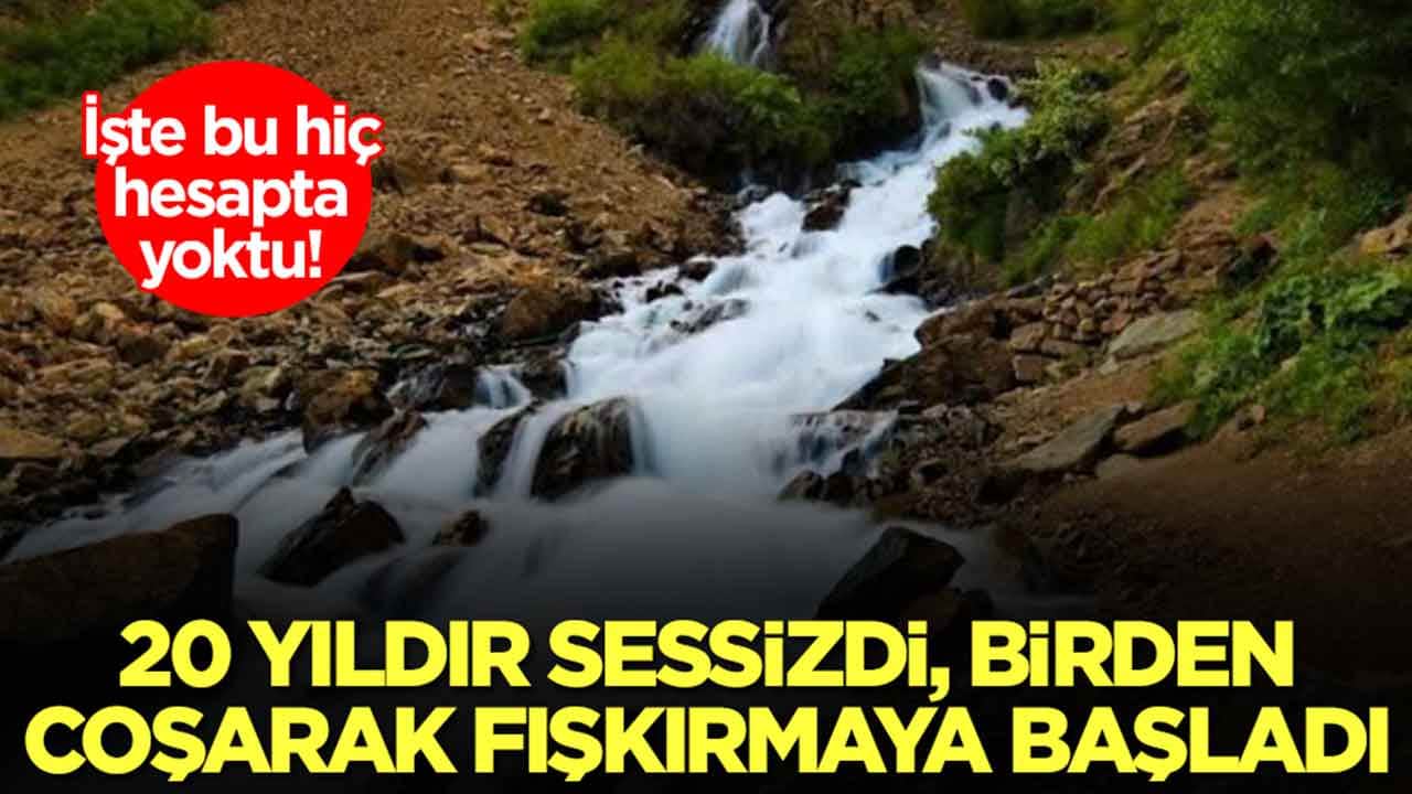 İşte bu hiç hesapta yoktu: 20 yıldır sessizdi, bir anda coşarak fışkırmaya başladı