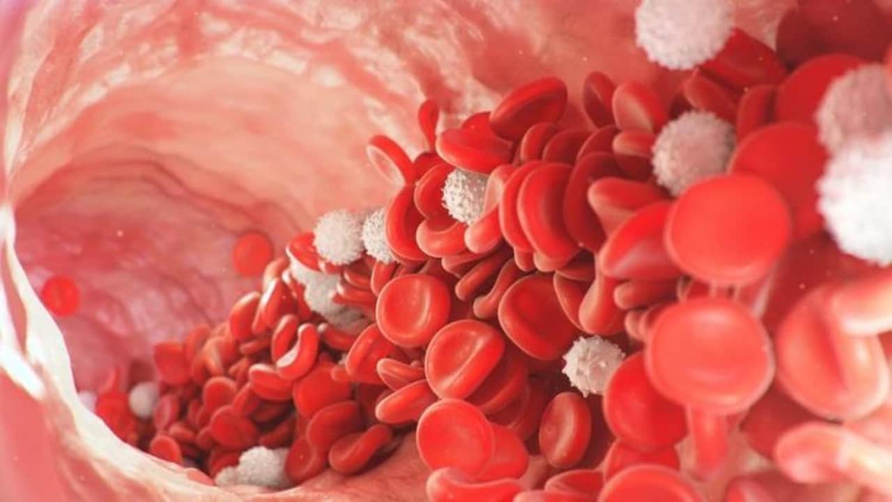 Foto - İşte kan yapan süper gıda! Canan Karatay açıkladı: Günde bir porsiyonu demiri zirveye çıkarıyor