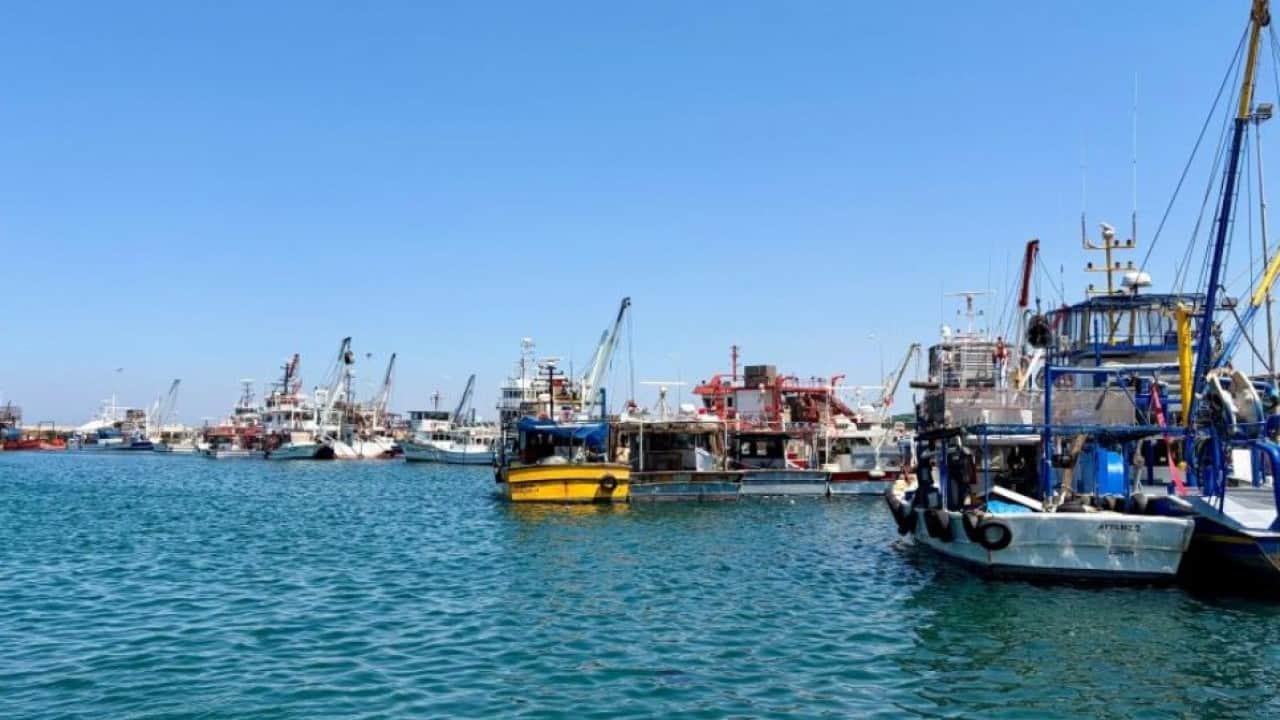 Foto - İzmir’de balıkçıların yeni av sezonu heyecanı başladı
