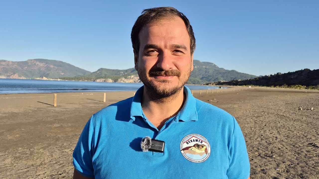 Foto - İztuzu Sahili'nde 30 bin yavru Caretta mavi sularla buluştu!