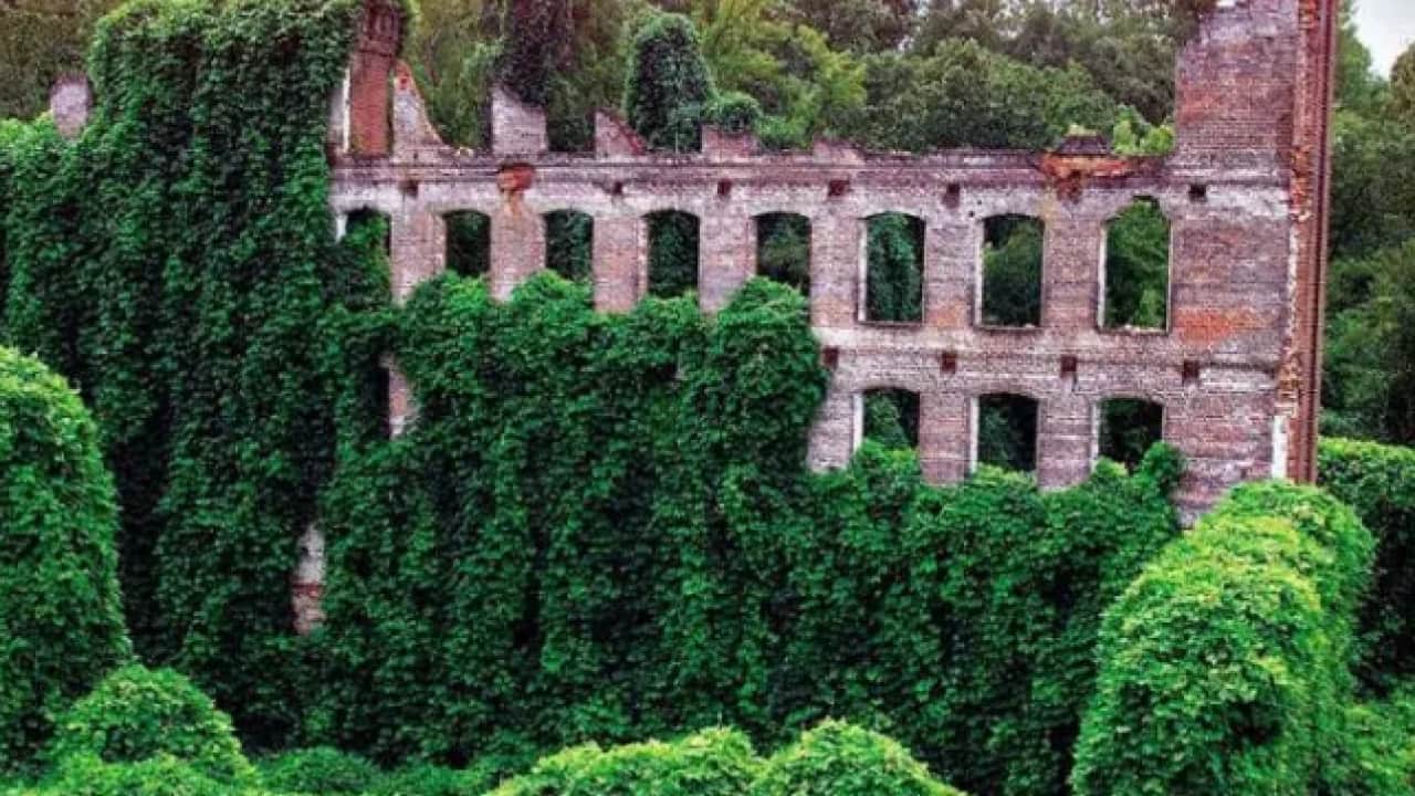 Foto - Japonya'dan gelip ABD'yi karıştırdı: Etrafını tamamen yuttu!