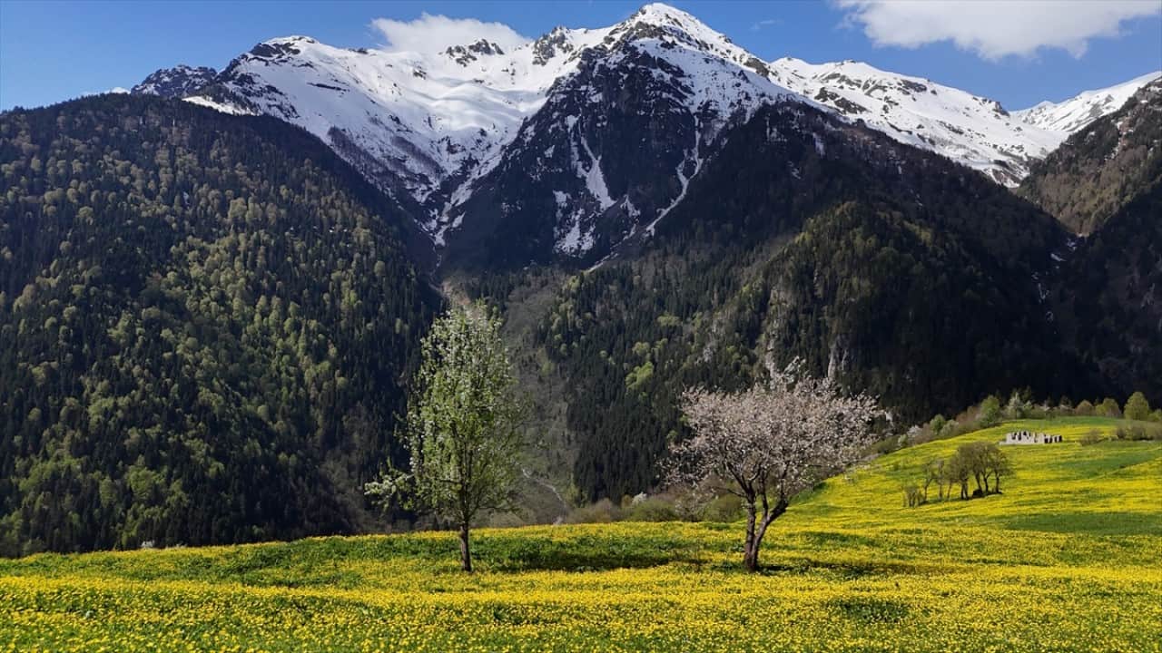 Foto - Kaçkar Dağları'nda şimdi bahar zamanı