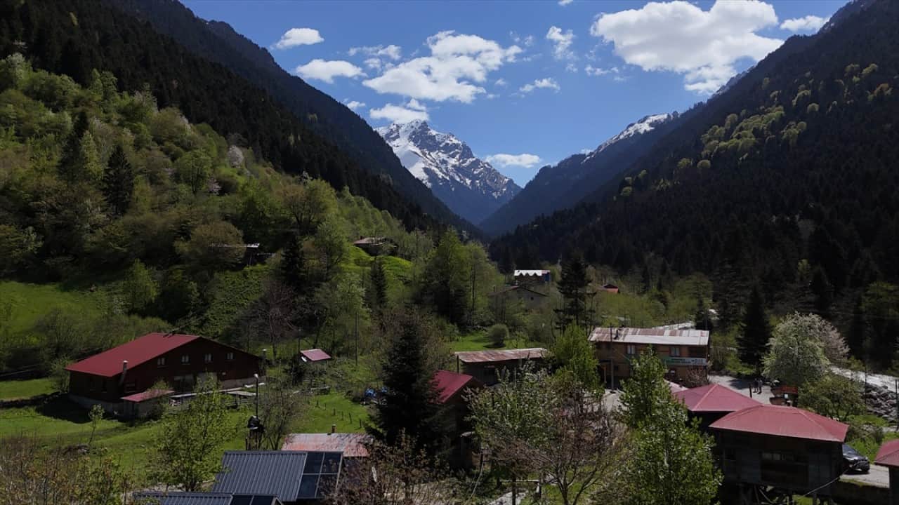 Foto - Kaçkar Dağları'nda şimdi bahar zamanı