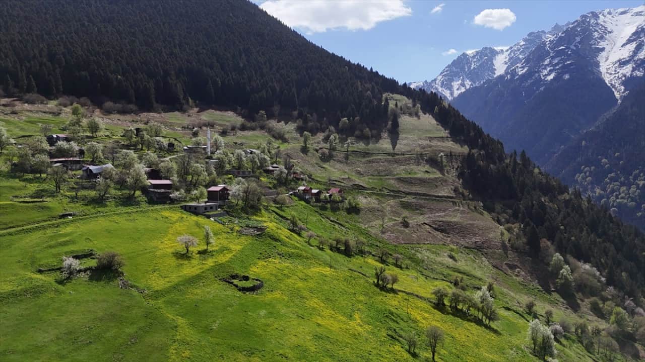 Foto - Kaçkar Dağları'nda şimdi bahar zamanı