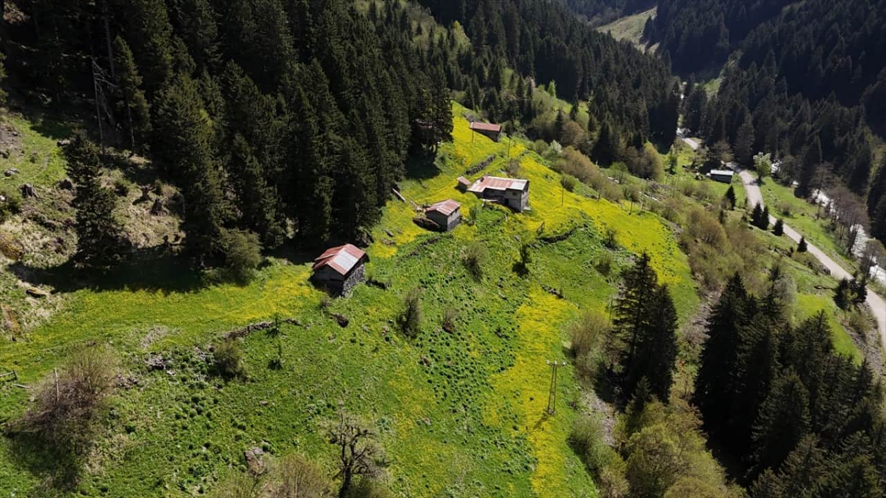 Foto - Kaçkar Dağları'nda şimdi bahar zamanı
