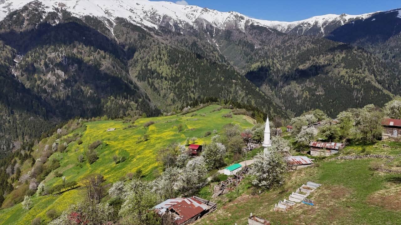 Foto - Kaçkar Dağları'nda şimdi bahar zamanı