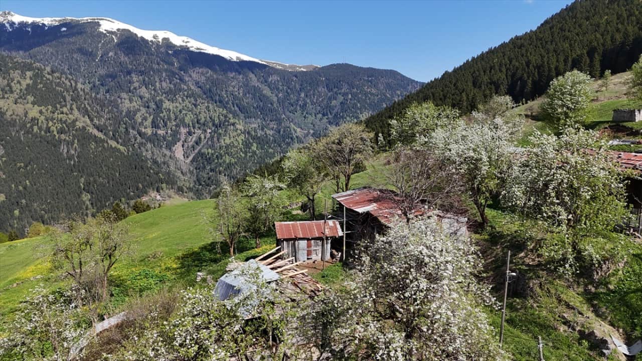 Foto - Kaçkar Dağları'nda şimdi bahar zamanı