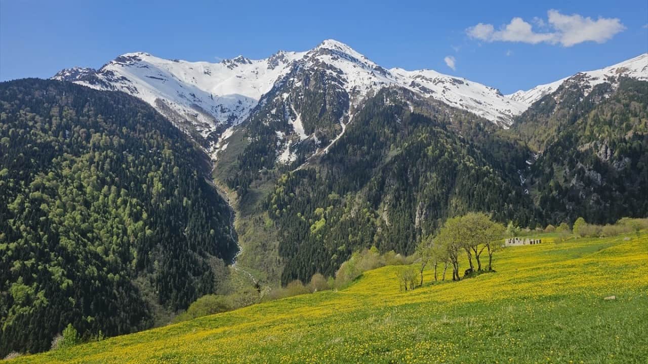 Foto - Kaçkar Dağları'nda şimdi bahar zamanı