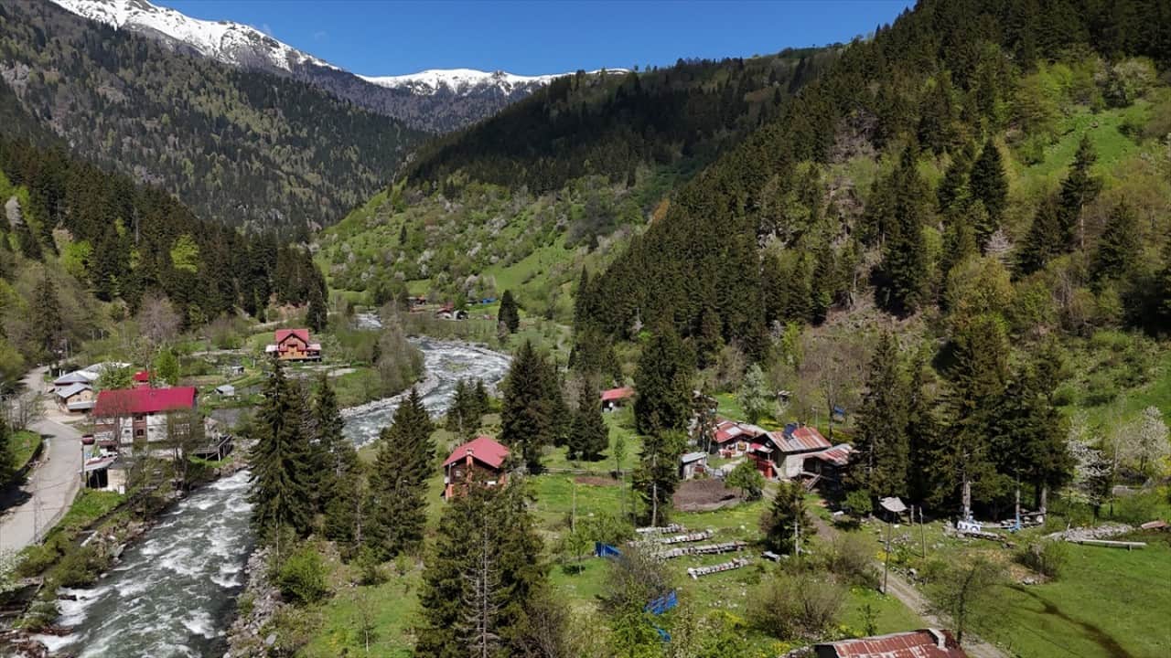 Foto - Kaçkar Dağları'nda şimdi bahar zamanı