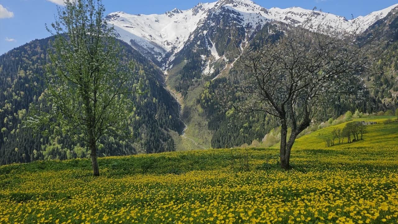 Foto - Kaçkar Dağları'nda şimdi bahar zamanı