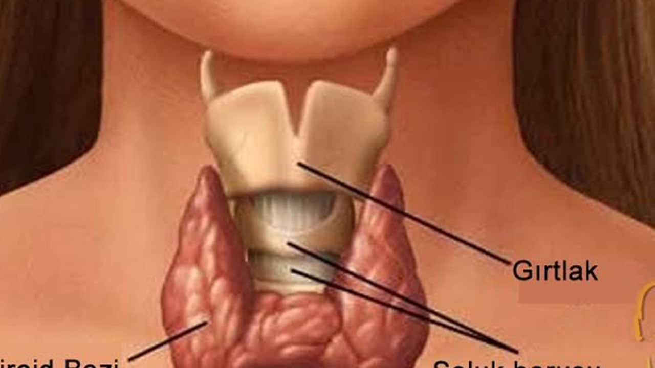 Foto - En çok kadınlar tiroid kanseri riskiyle karşı karşıya: Kanser tedavisinde erken tanı önemli