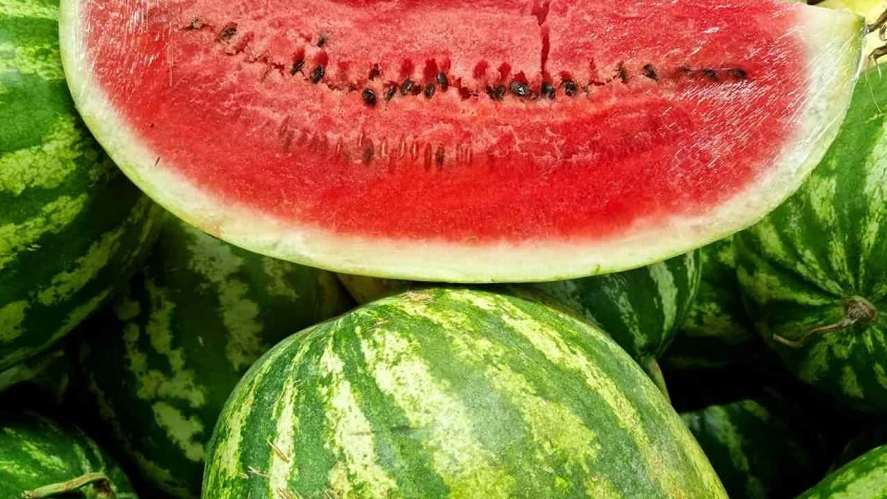 Foto - Kapuz çekirdeği kalbi iyileştiriyor, tansiyonu düşürüyor! Hücre koruyucu, uyku hapı olan kaynaklardan! Çöp değil