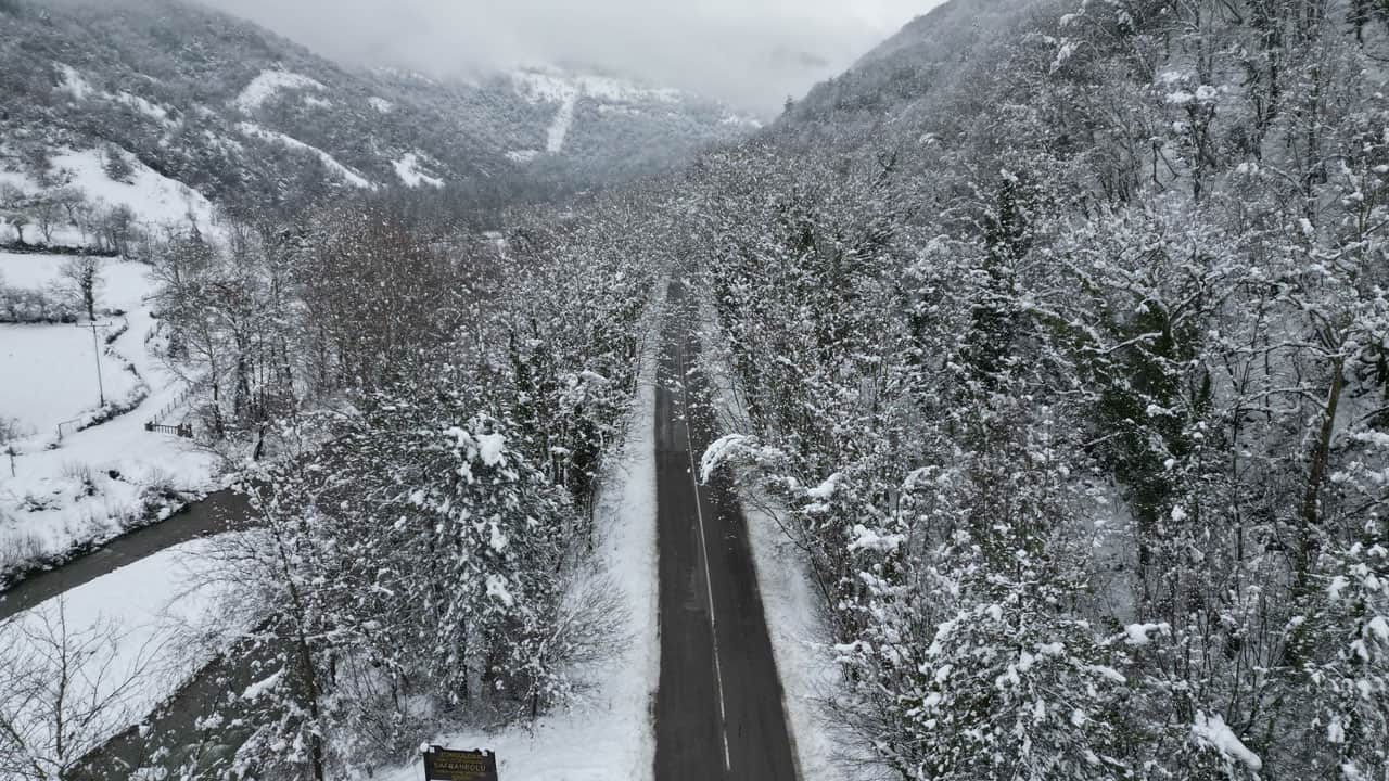 Foto - Kar yağınca masala döndü! "Ağaç tünel yol" büyüledi