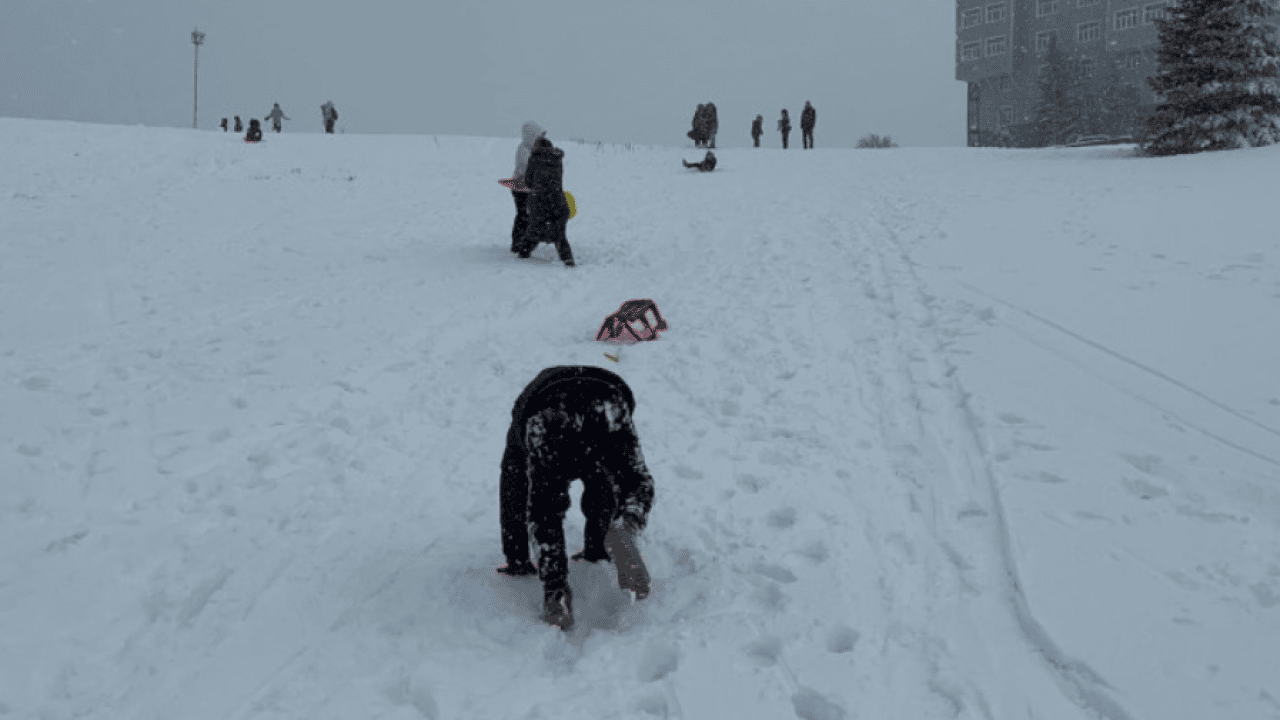Foto - Kar yağışını fırsat bildiler! Koşa koşa oraya gittiler!