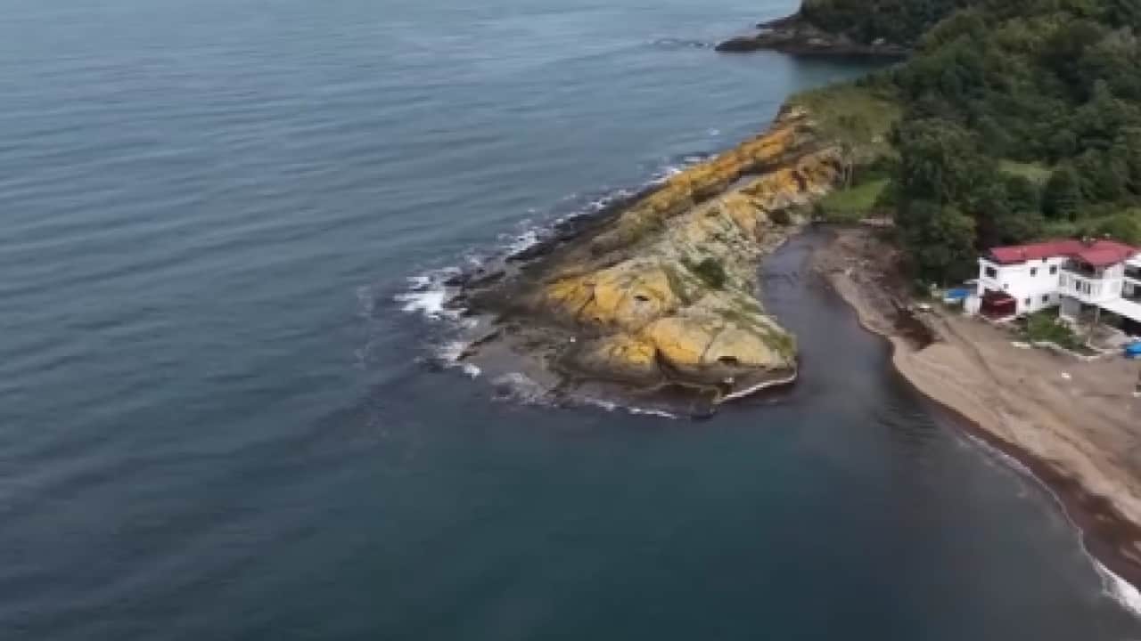 Foto - Karadeniz kıyısında doğa harikası! Herkes timsahı görmeye geliyor!